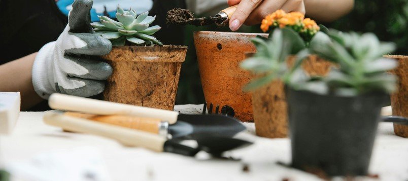 The Best 22 Gardening Tips of All Time