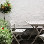 Managing Pests on Your Patio