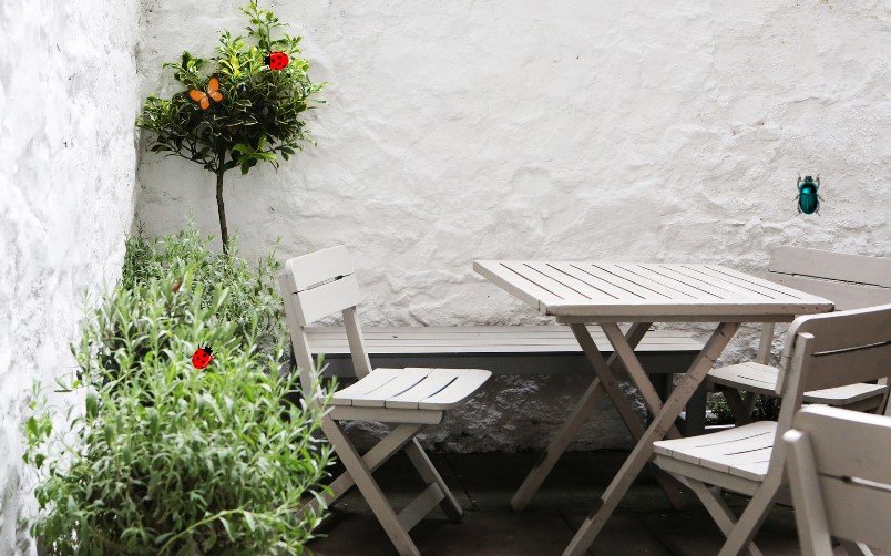 Managing Pests on Your Patio